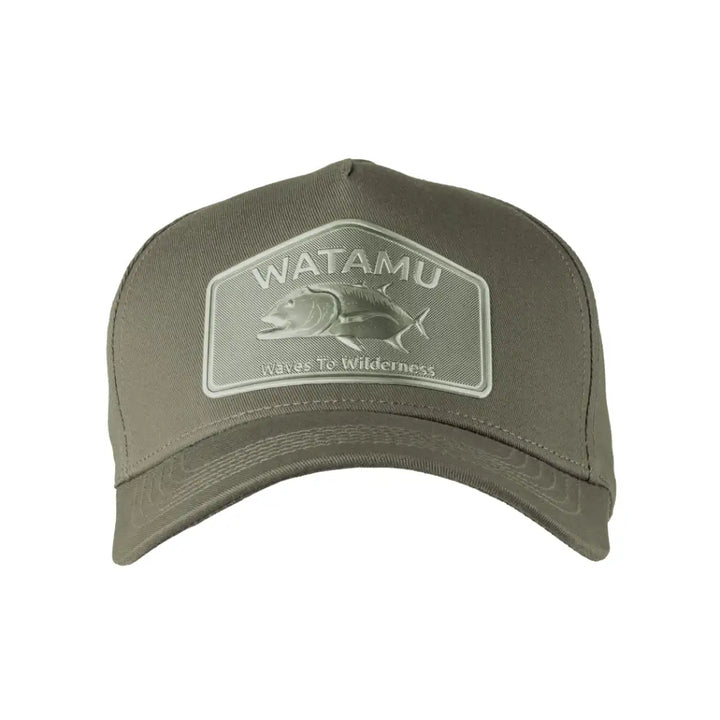 Matallic Peak Cap Grouper