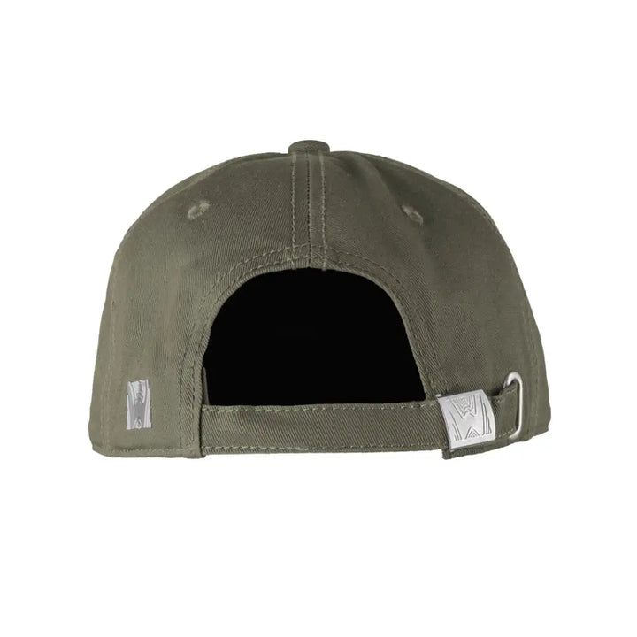 Matallic Peak Cap Grouper
