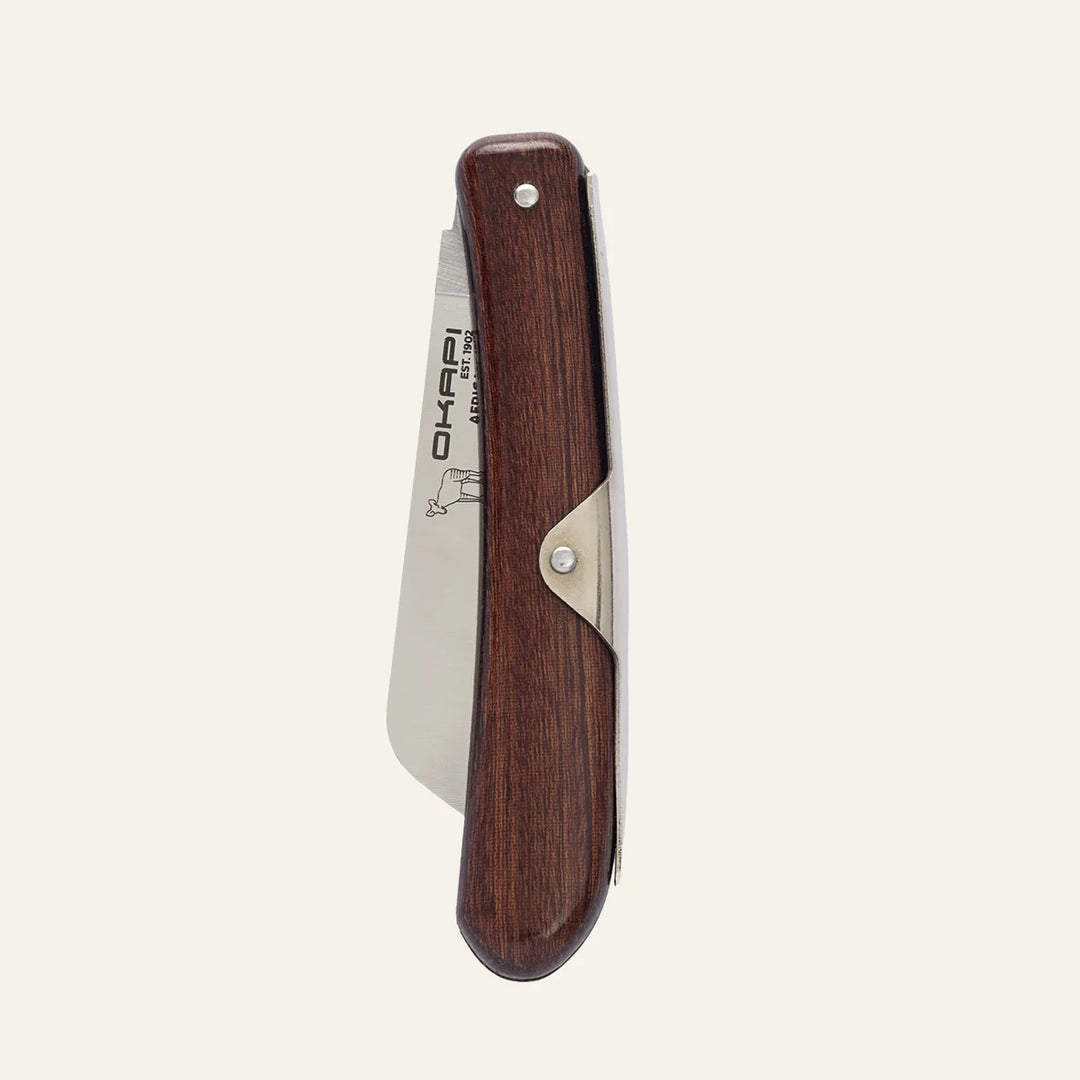 Biltong Knife