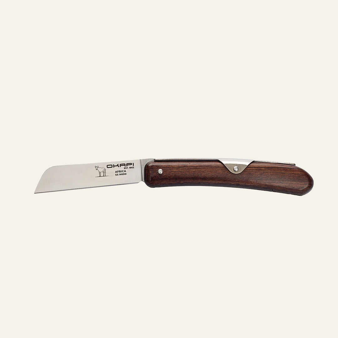 Biltong Knife
