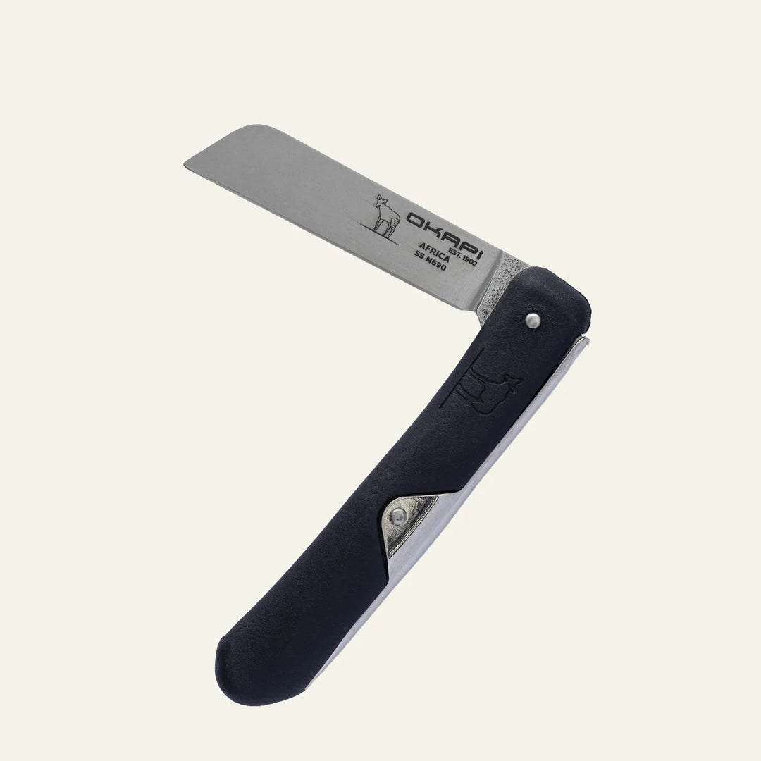 Biltong Knife