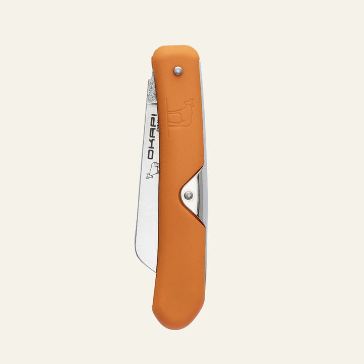 Biltong Knife
