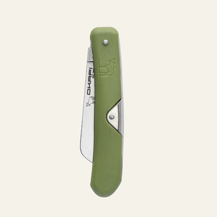 Biltong Knife
