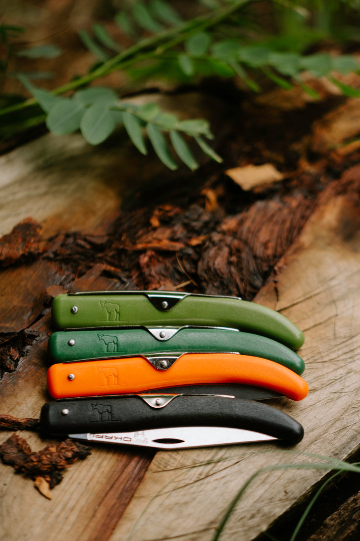 Folding Knife